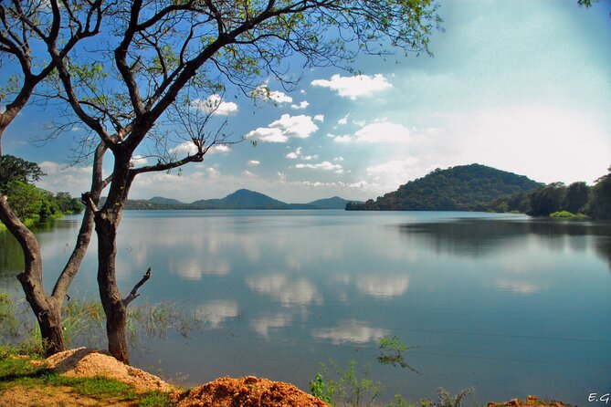 Day Tour to Minneriya National Park,Sigiriya & Dambulla From Kandy - Pricing and Cancellation Policy