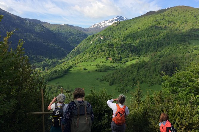 Day Tour to Mirepoix, Montségur, Camon. Private Tour From Carcassonne - Pickup Information