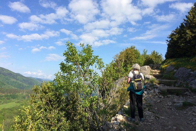 Day Tour to Mirepoix, Montségur, Camon. Private Tour From Carcassonne - Montsegur Fortress