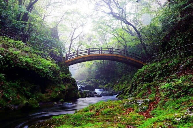 Day Tour to Miyazaki Takachiho Gorge & Shrine Depart From Fukuoka - Key Points