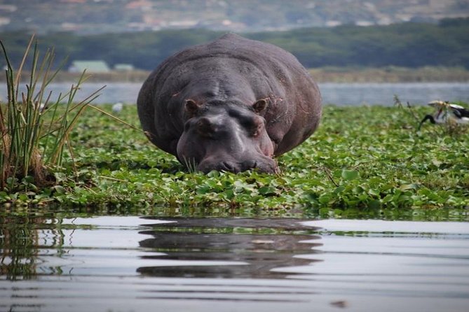 Day Tour to Mount Longonot Park From Nairobi - Inclusions and Exclusions