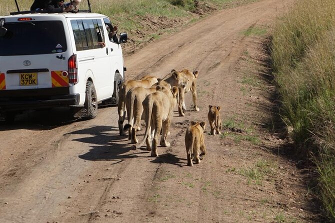 Day Tour to Nairobi National Park and Giraffe Center - Giraffe Center Visit