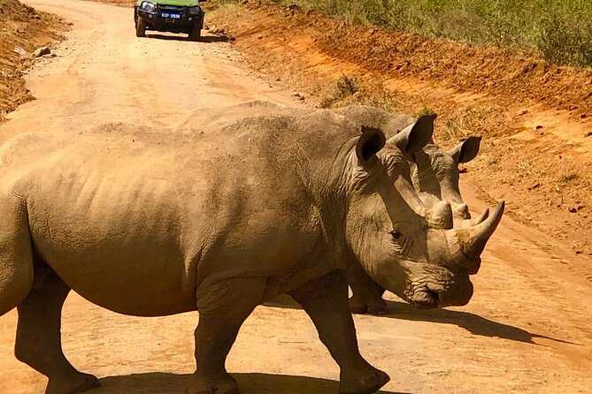 Day Tour to Nairobi National Park and Giraffe Center - Tour Schedule