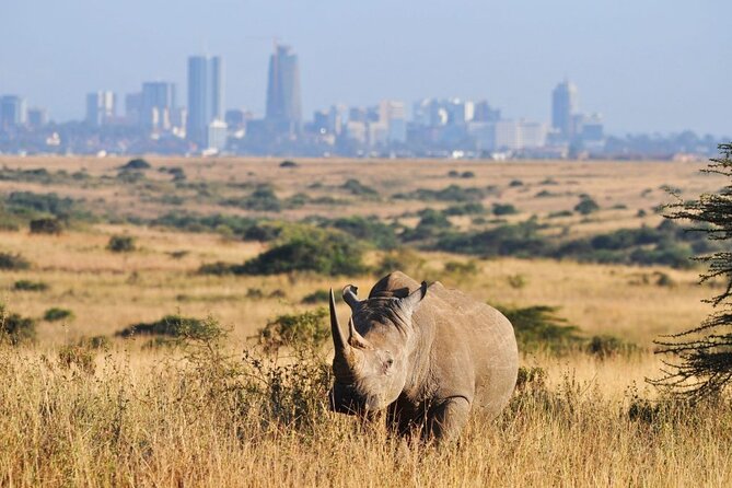 Day Tour to Nairobi National Park and Giraffe Center - Booking and Cancellation