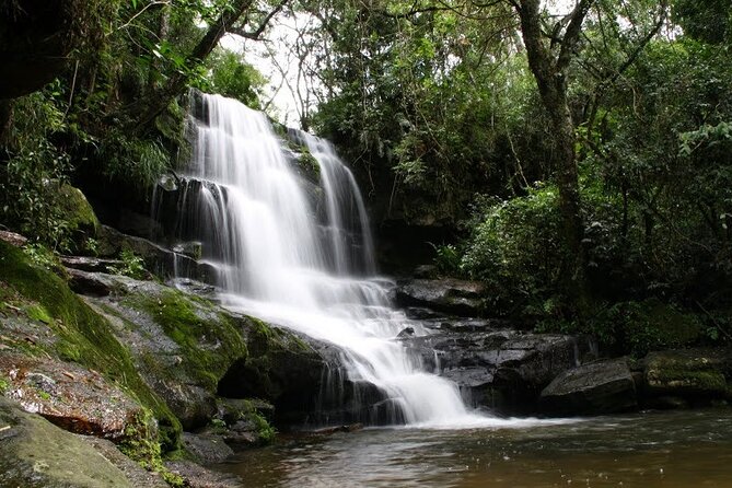 Day Tour to "National Park Ybycuí" - Key Points