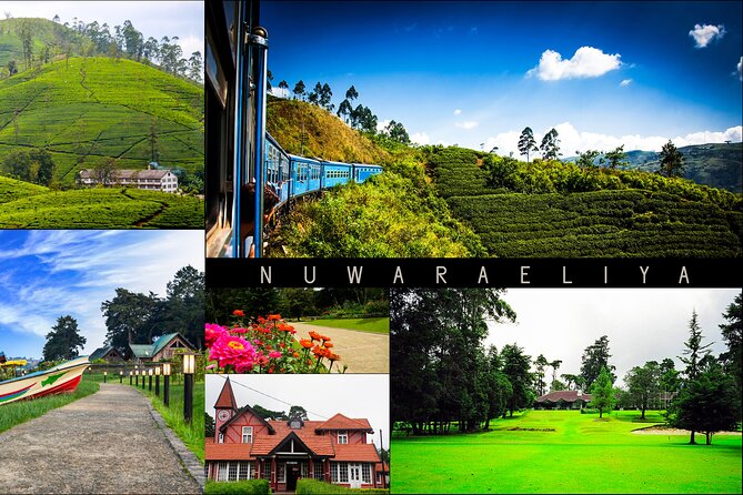 Day Tour to Nuware Eliya (Littel England) From Kandy - Itinerary Highlights