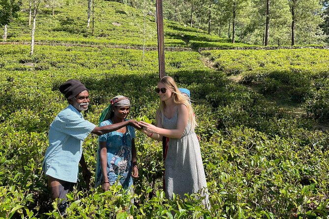 Day Tour to Nuware Eliya (Littel England) From Kandy - Physical Requirements