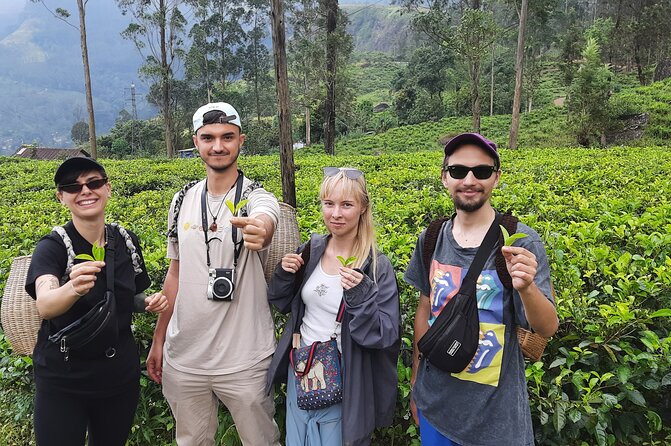Day Tour to Nuwareeliya (Little England) From Kandy - Additional Information