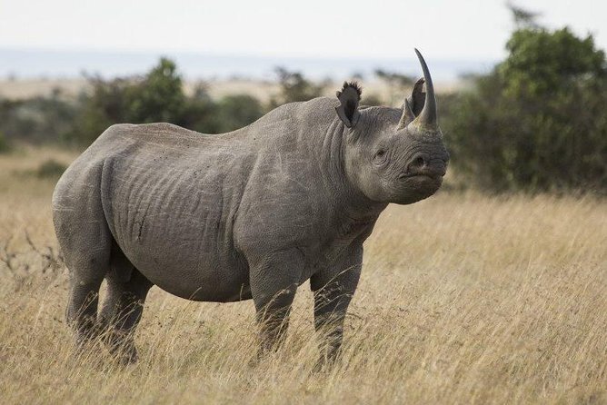 Day Tour to Ol Pejeta Conservancy - Additional Considerations