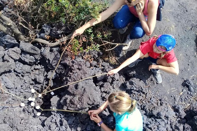 Day Tour to Pacaya Volcano From Antigua Guatemala on Private Vehicle - Booking and Pricing Information