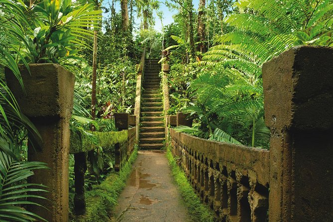 Day Tour to Paronella Park, Lake Barrine and Millaa Millaa Falls - National Park Fee Inclusion