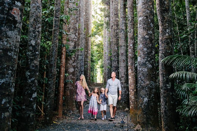 Day Tour to Paronella Park, Lake Barrine and Millaa Millaa Falls - Tour Group Size Limit