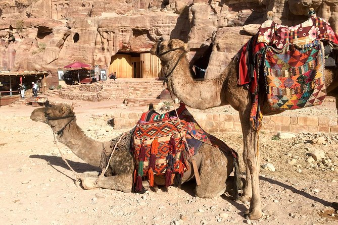 Day Tour to Petra From Eilat - Cancellation Policy