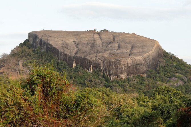 Day Tour to Pidurangala From Colombo. - Additional Details