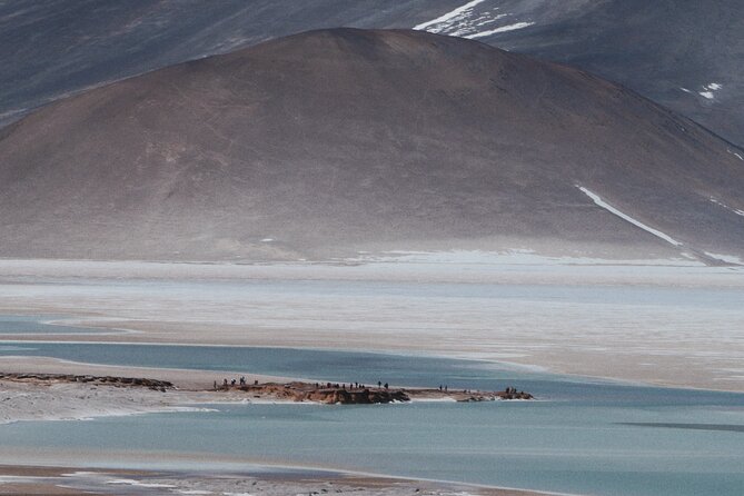 Day Tour to Piedras Rojas and Altiplanic and Chaxa Lagoons - Key Points