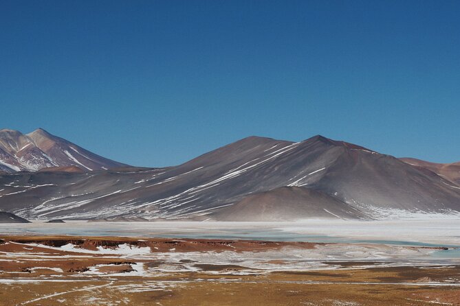Day Tour to Piedras Rojas and Altiplanic and Chaxa Lagoons - Laguna Chaxa