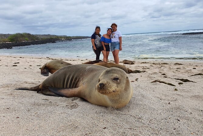 Day Tour to San Cristobal Island With Private Land Tour and Snorkeling - Key Points