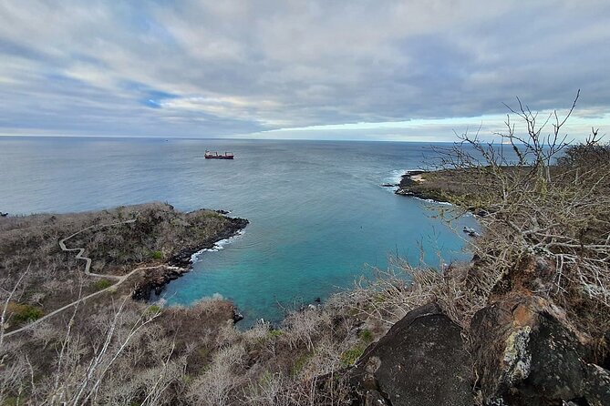 Day Tour to San Cristobal Island With Private Land Tour and Snorkeling - Customer Reviews