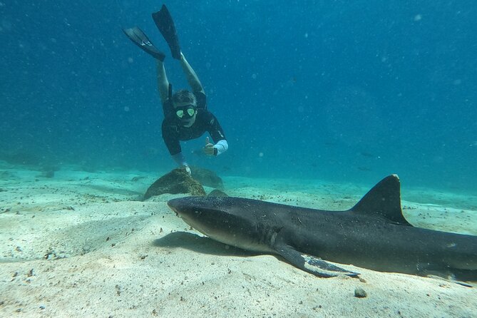Day Tour to Santa Fe Island and Hidden Beach With Snorkeling and Fishing - Tour Overview