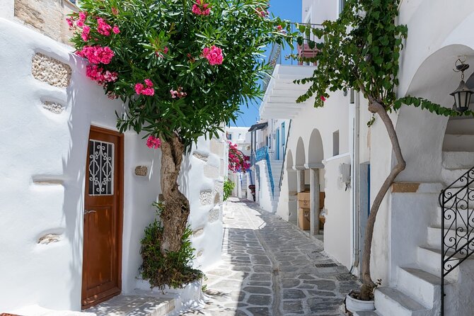Day Tour to Santorini Island From Heraklion Crete - Health and Accessibility
