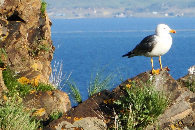 Day Tour to Sevan Lake, Tsakhkadzor Rope Way and Kecharis Monastery in Armenia - Key Points