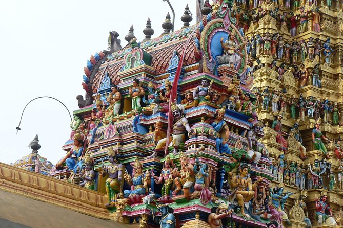 Day Tour to Sigiriya & Dambulla From Kandy by Aaliya Tours - Transportation and Accessibility