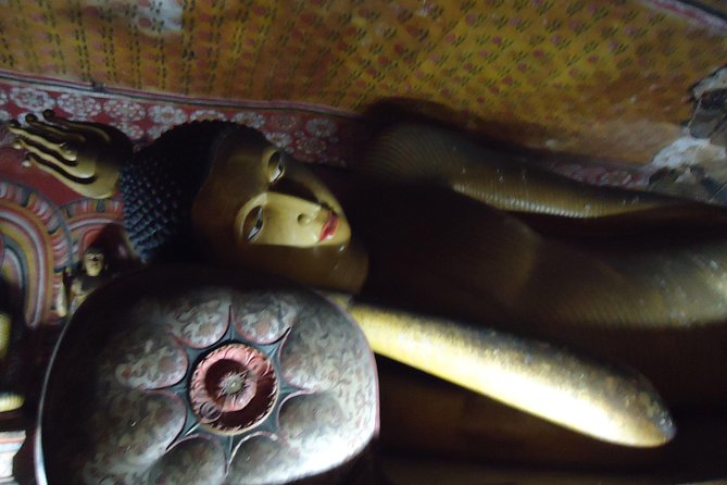 Day Tour to Sigiriya & Dambulla From Kandy by Aaliya Tours - Booking and Confirmation