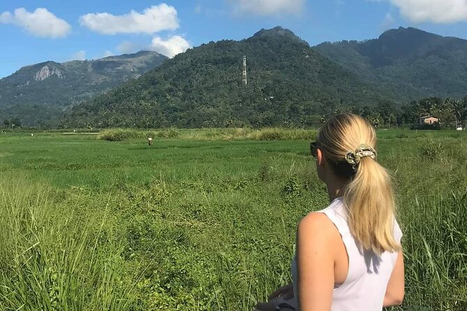 Day Tour to Sigiriya & Dambulla From Kandy - Pickup Details