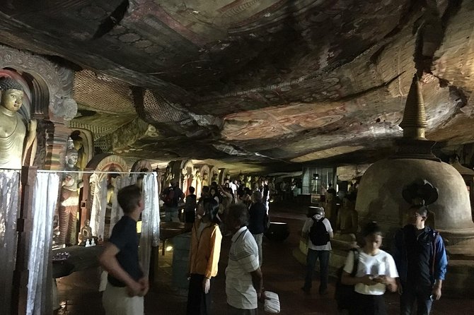 Day Tour to Sigiriya Rock Fortress & Dambulla Rock Cave Temple. - Tour Schedule and Pricing