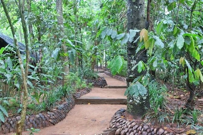 Day Tour to Sigiriya Rock Fortress & Dambulla Rock Cave Temple. - Dambulla Rock Cave Temple