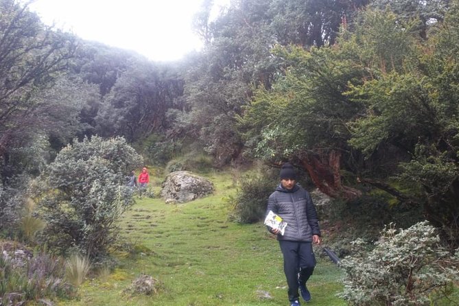 Day Tour to the Cajas National Park & Hosteria Dos Chorreras - Hike Through Polylepis Forest