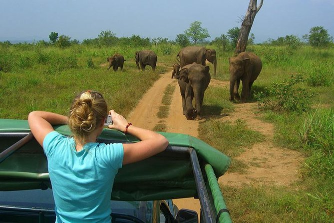 Day Tour to Udawalawe From Colombo - Highlights of the Day Tour