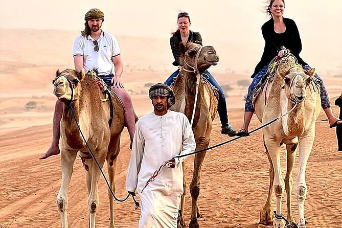Day Tour to Wahiba Sands Desert and Wadi Bani Khalid (Desert Safari) - Lunch Provided