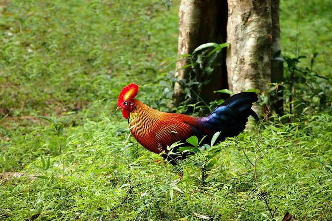Day Tour to Wilpattu National Park From Bentota - Traveler Recommendations