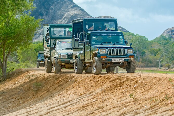 Day Tour to Wilpattu National Park From Colombo - Good To Know