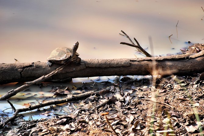 Day Tour to Wilpattu National Park From Colombo - Inclusions and Exclusions