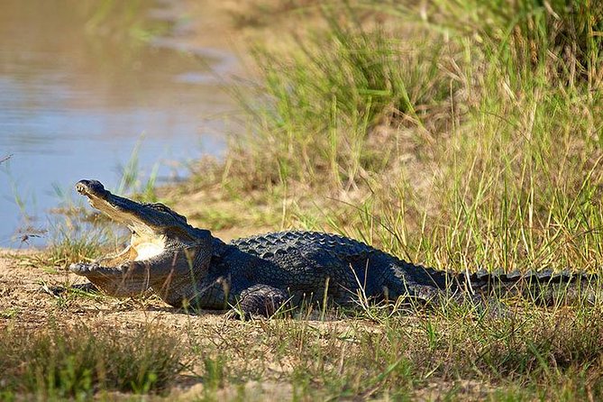Day Tour to Wilpattu National Park From Colombo - Tips for a Successful Day Trip