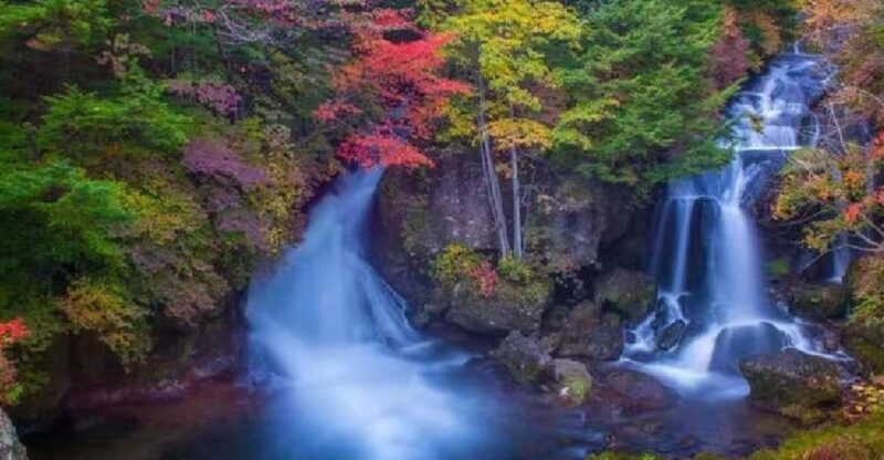 Day Tour Visit to Nikko Toshugo From Tokyo - Key Points