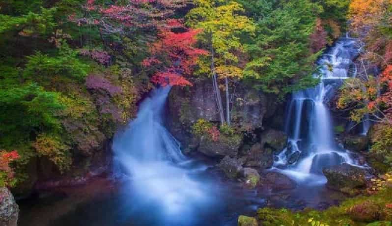 Day Tour Visit to Nikko Toshugo From Tokyo - Serene Lake Chuzenji