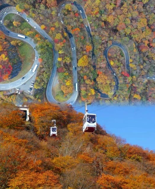 Day Tour Visit to Nikko Toshugo From Tokyo - Irohazaka Winding Road