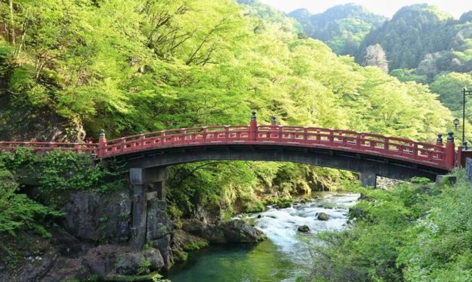 Day Tour Visit to Nikko Toshugo From Tokyo - Transportation and Accessibility