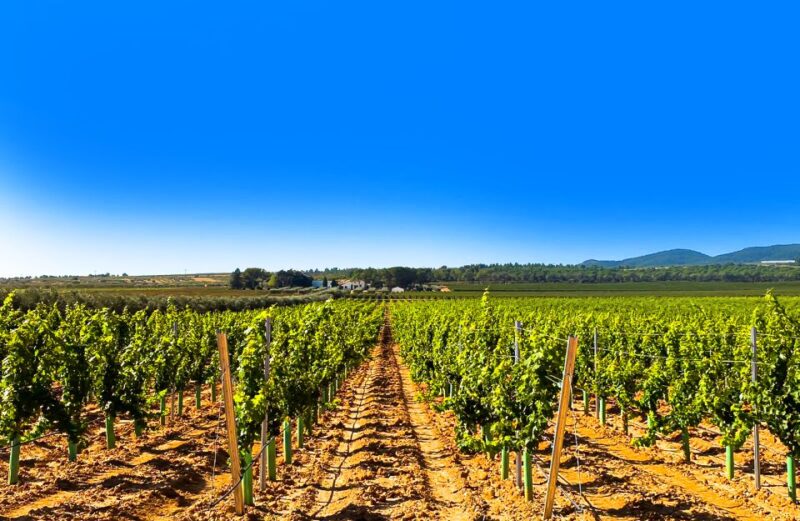 Day Tour Wine Tasting, Dinner, Visit to Local Liquor Factory - Inclusions and Exclusions