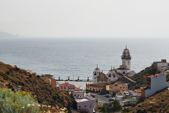 Day Tour With Official Guide Around the Island of Tenerife - Traveler Experiences and Feedback