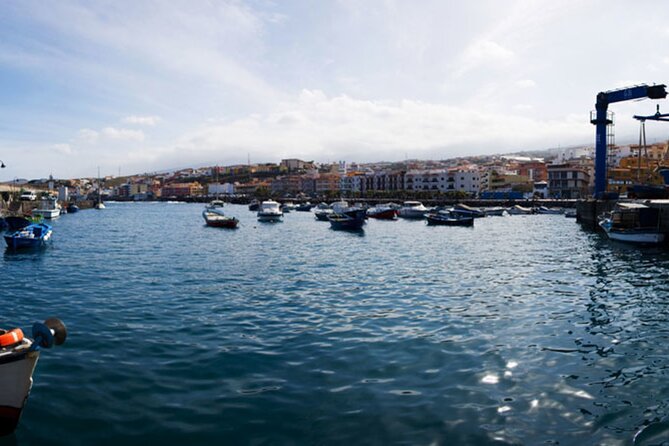 Day Tour With Official Guide Around the Island of Tenerife - Booking and Cancellation Policies
