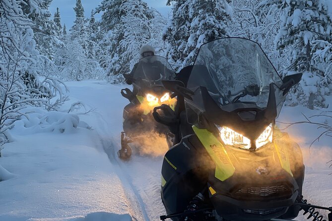 Day Tour With Snowmobile in Kiruna - Tour Overview and Experience