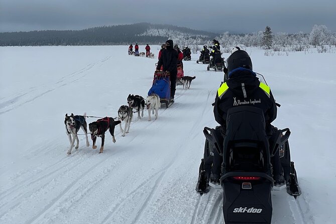 Day Tour With Snowmobile in Kiruna - Guides Passionate About Nature