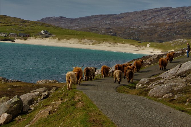 Day Tours of Harris in the Outer Hebrides - Reviews and Feedback