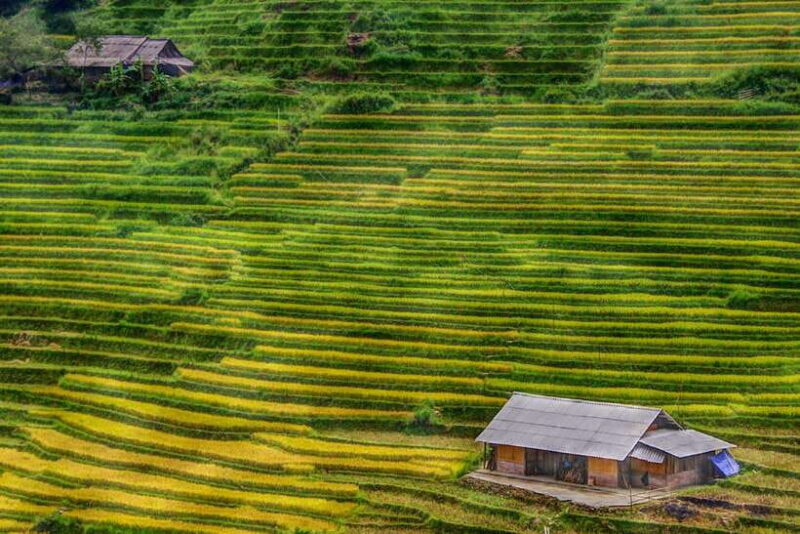 Day Trek Adventure With Local Guides - Itinerary and Activities