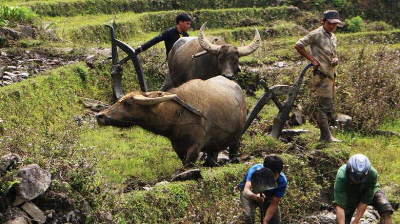 Day Trek Adventure With Local Guides - Tour Highlights and Experience