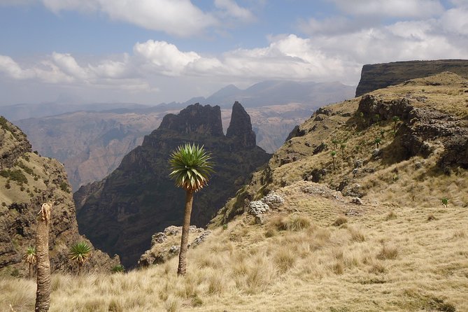 Day Trek to Simeien Mountains - Health and Safety Guidelines